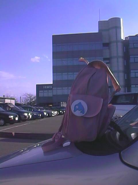 �s���N�̃����b�N�ƃG���f�[�^